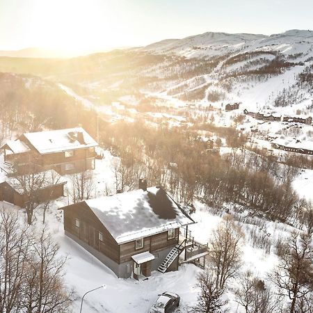 Hamrahoejden - Panoramavy & Naerhet Till Fjaellet Tänndalen Esterno foto